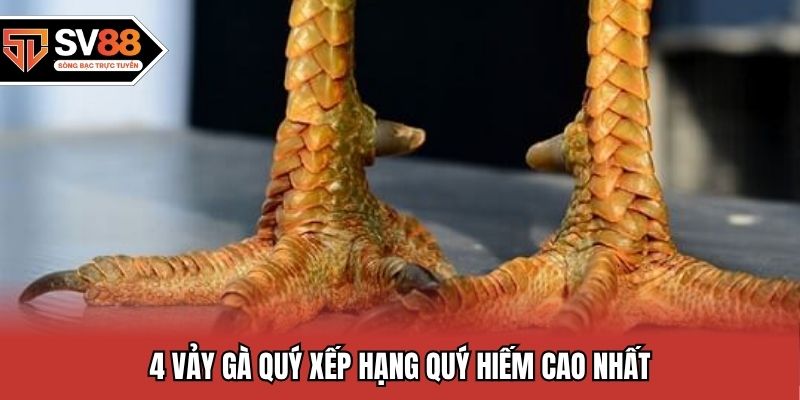 4 vảy gà quý xếp hạng quý hiếm cao nhất
