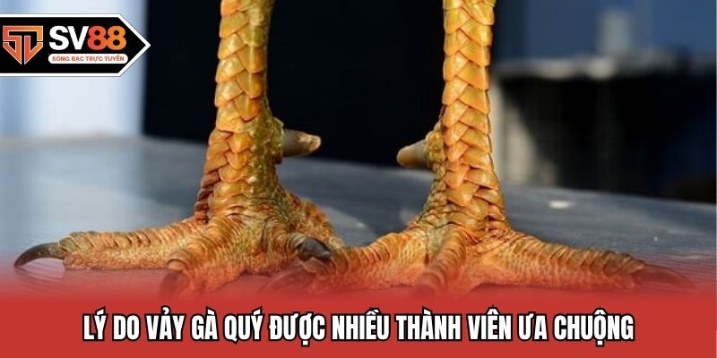 Lý do vảy gà quý được nhiều thành viên ưa chuộng